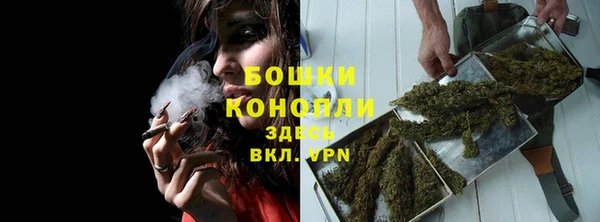 молекула духа Карпинск