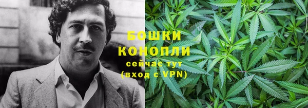 молекула духа Карпинск