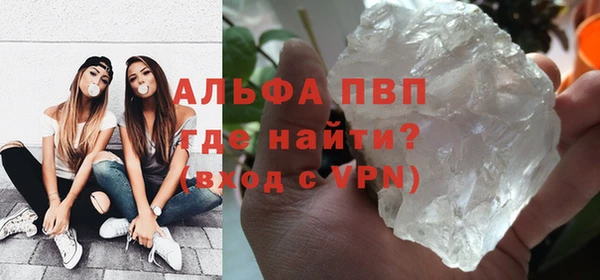 молекула духа Карпинск