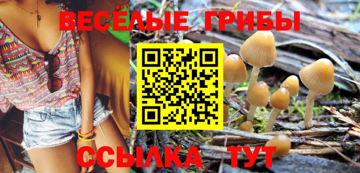 Псилоцибиновые грибы мицелий Кумертау