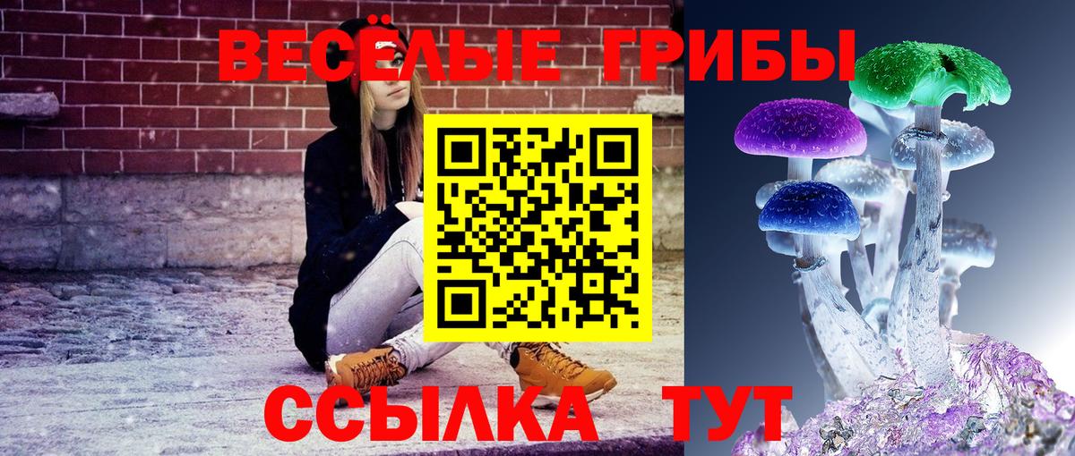 Псилоцибиновые грибы мицелий  Вход с VPN  Кумертау  цена   Псилоцибиновые грибы Magic Shrooms 